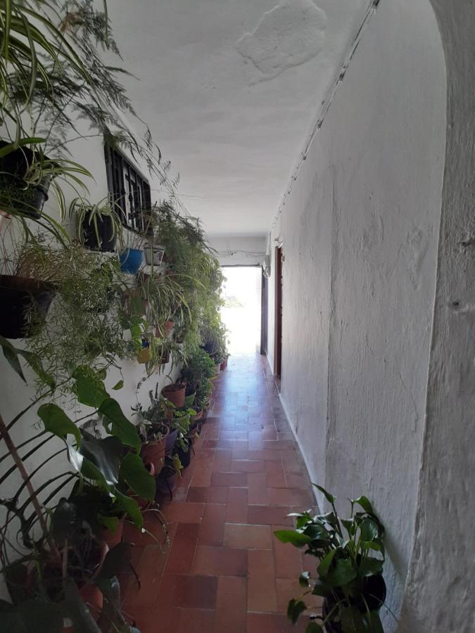 Appartement Loft De La Morena Y Estudio Jr *