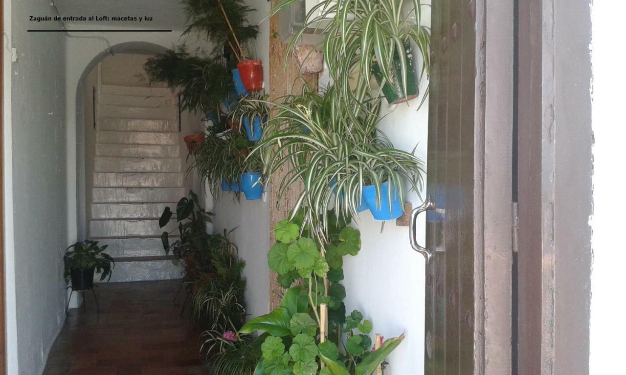 Loft De La Morena Y Estudio Jr Appartement